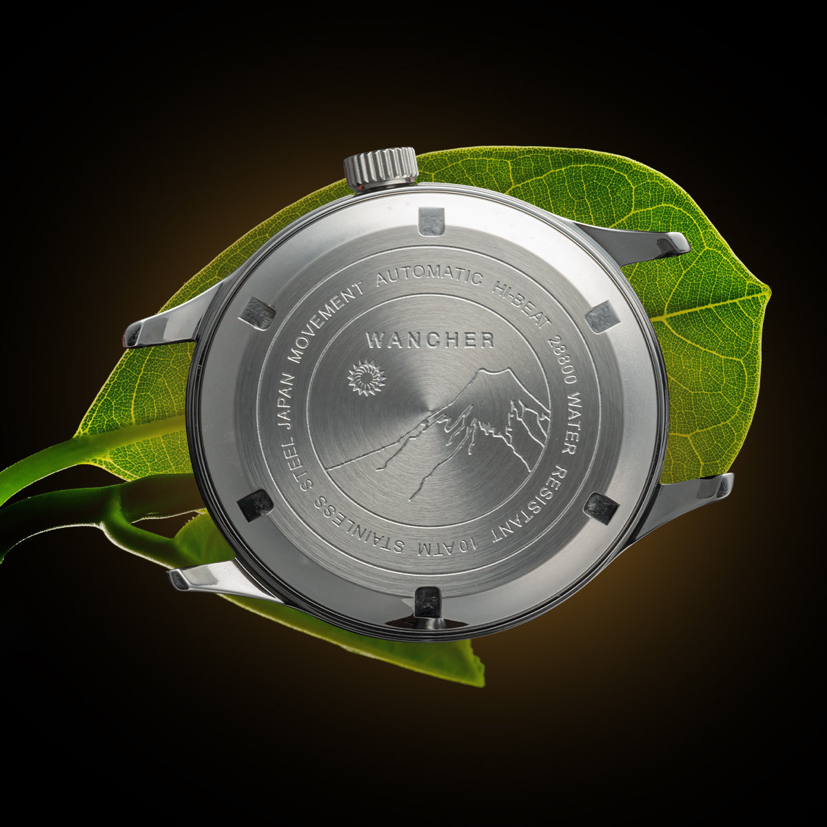 Dream Watch - Tamamushi Wing Maki-e - Wancher Watch