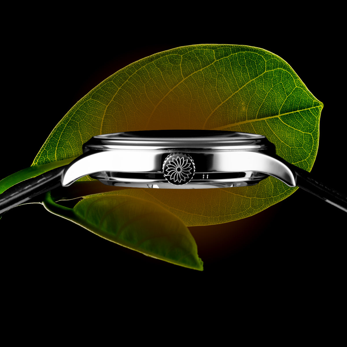 Dream Watch - Tamamushi Wing Maki-e - Wancher Watch